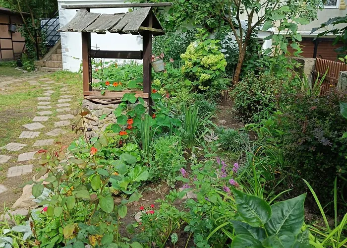 شقة Pola Rodzinny بولانيكا- زدروي